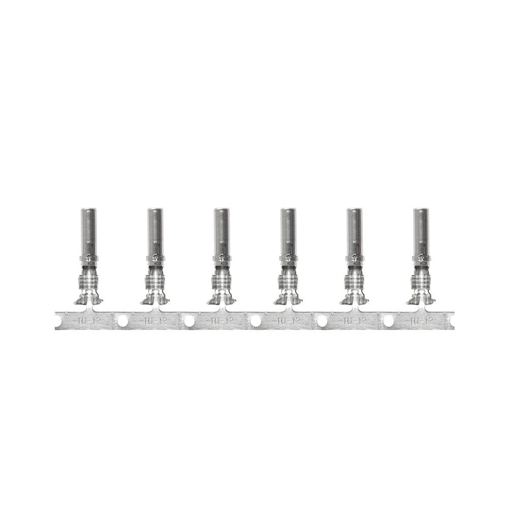 Pacer T10DTP-S-25 DTP Deutsch Socket f/10 AWG Wire - Size 12 Contact (25 Pack)