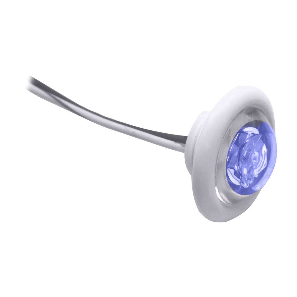 Innovative Lighting 011-2540-7 LED Bulkhead/Livewell Light "The Shortie" Blue LED w/ White Grommet
