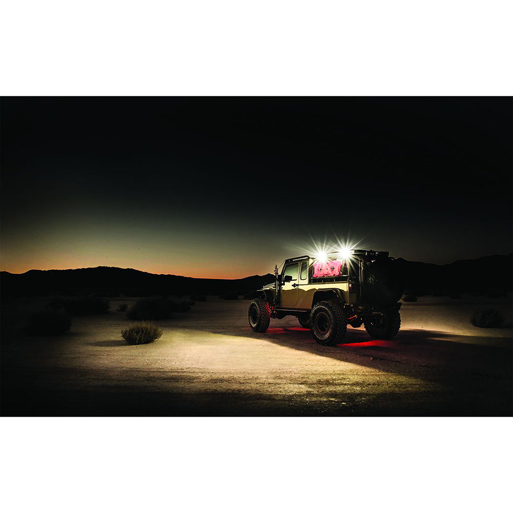 RIGID Industries 86610 1" x 2" 65 - DC Scene Light - Black